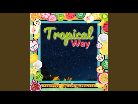 コンテンポラリー-テラス-テラコッタ-水差し-スイミング-プール-清掃