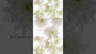 « Je l&#39;aime à mourir » (Lyrics Vidéo Officielle) maintenant sur YouTube ! #franciscabrel