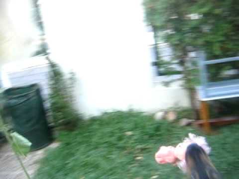 La furia del pequeño Rashid!!