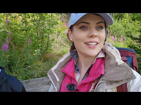 🌲 Wohin des Weges #33 - Hohegeiss - Rundwanderung [HARZ]