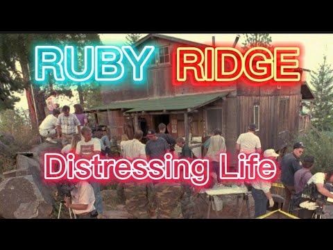 Disturbing Reality of Ruby Ridge #viralvideo #joerogan #youtubeviral
