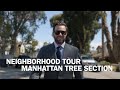 Neighborhood Tour: The Manhattan Beach Tree Section