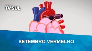 Setembro Vermelho: Doenças cardiovasculares são uma das principais causas de morte no mundo