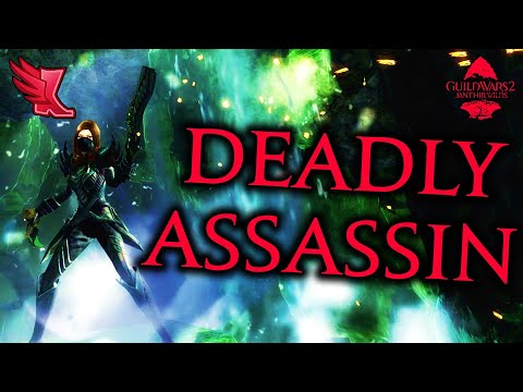 GW2 WvW Deadly Arts D/P Daredevil Build Roaming Commentary