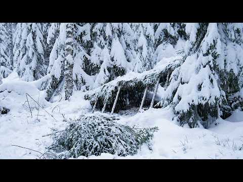 Building a Shelter to Survive HEAVY SNOW: 3 Days in a FROZEN Forest (Full Version)