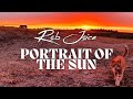Portrait of the Sun