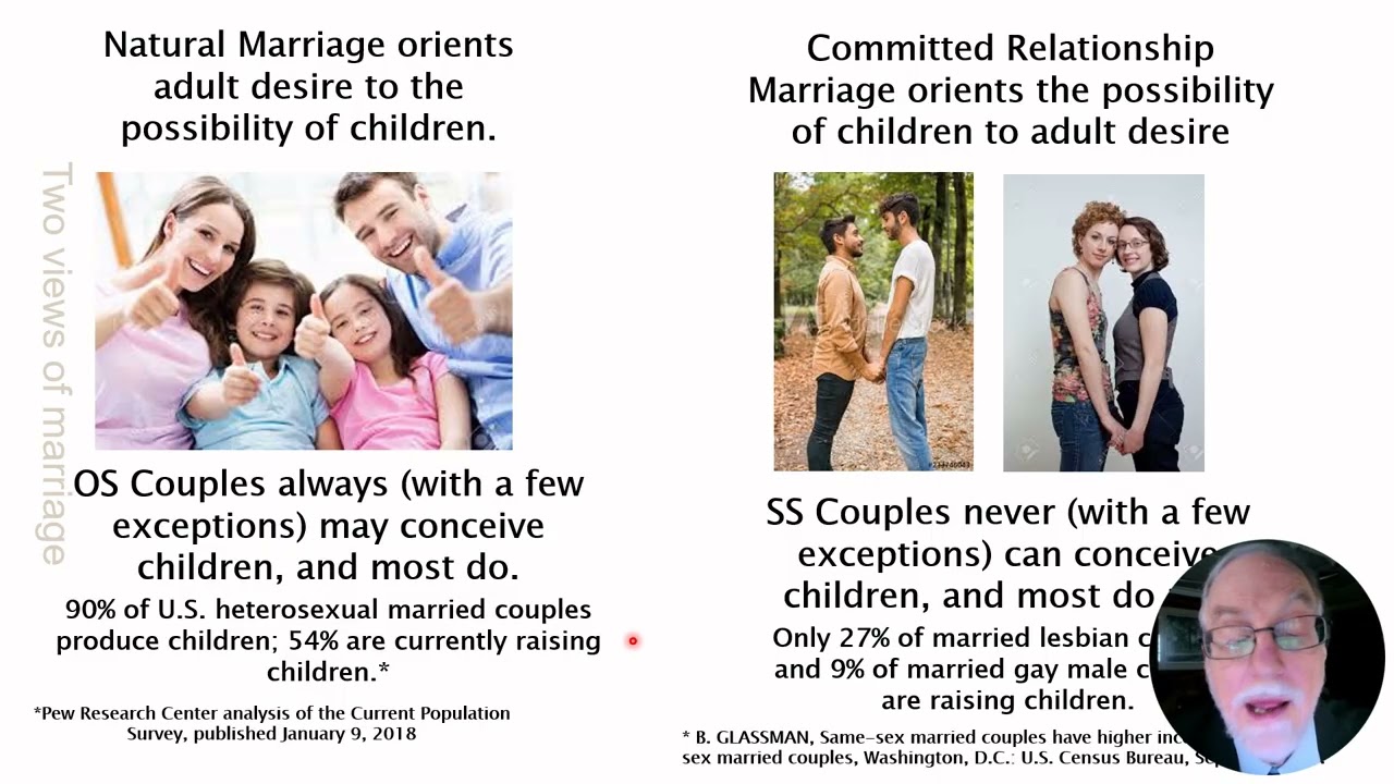 Why True Marriage Cannot be Gay (Hungarian) | Father Paul Sullins | Conference on Family Issues