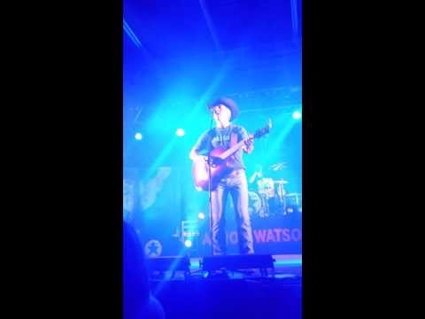 Bluebonnets In The Spring video