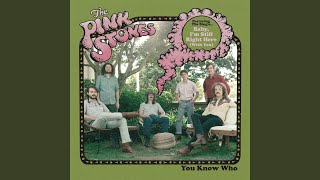 The Pink Stones - No Rain, No Flowers video