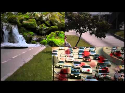 Bagar aka Tricky D - Equanimity (Official Video)