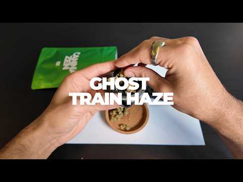 Ghost Train Haze: Sativa-Legende Terpenprofil