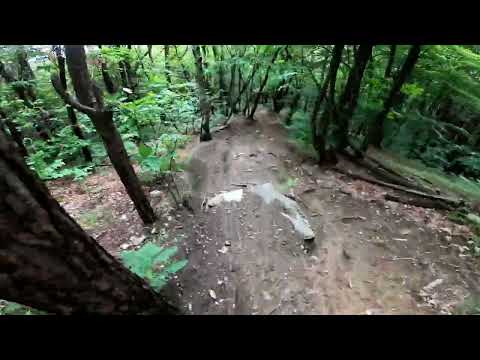 mtb -  Brianza fra campagne rilassanti e boschi selvaggi #allmountain #enduro #freeridemtb  #mtb