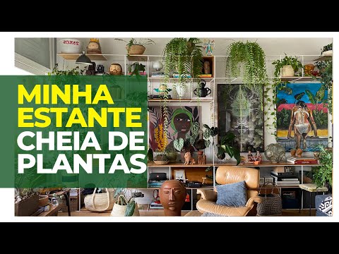 COMO DECORO MINHA ESTANTE - PLANTAS, ARTESANATOS E MEMÓRIAS AFETIVAS  - PAPO AO VIVO