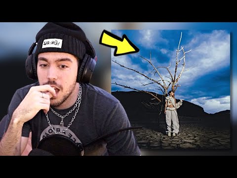 LUV REACCIONA A | ALEESHA - SIN KERER (OFFICIAL VIDEO)