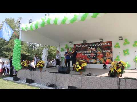 Ziua Comunei Valcelele, 2016
