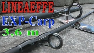 Lineaeffe Master Carp 3.6m 125g - відео 1