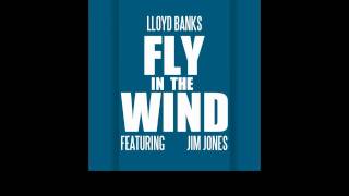 Lloyd Banks - Fly In The Wind feat Jim Jones [New/CDQ/Dirty/NODJ/2011]