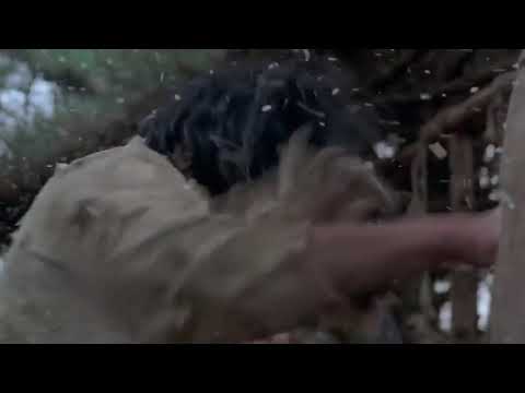 Fighter in the wind مقاتل في الريح(3)