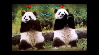 Dʝordan ~ The Panda Team