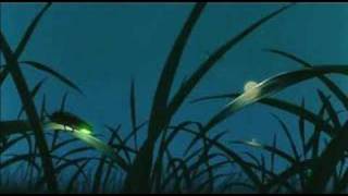 Tv On the Radio - Province Video (AMV )