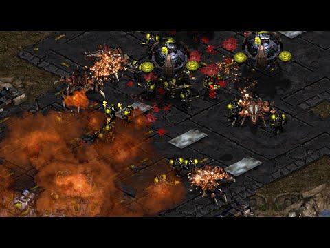 LIGHT vs ACTION Birthday Battle!  - Starcraft Broodwar