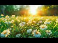 Gentle Music Calms The Nervous System And Pleases Soul Healing Music For Heart Blood Vessels 39