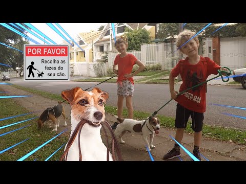 REGRAS DE CONDUTA para CRIANÇAS na RUA Rules of Conduct for Children, PASSEANDO COM OS CACHORROS