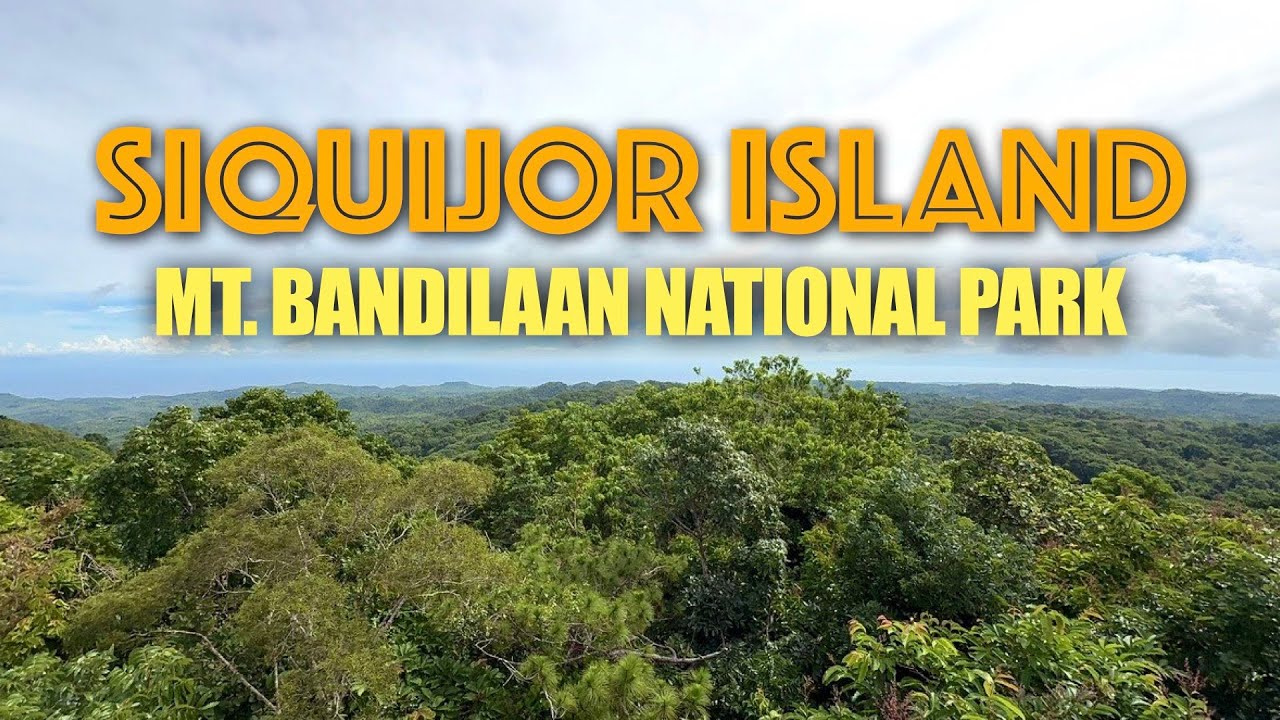 Experience a virtual tour to Mount Bandilaan National Park.