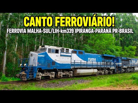FERROVIA MALHA-SUL/LIH-km339/IPIRANGA Paraná PR-Brasil #ferroviabrasil #trains #rumo #railfan 