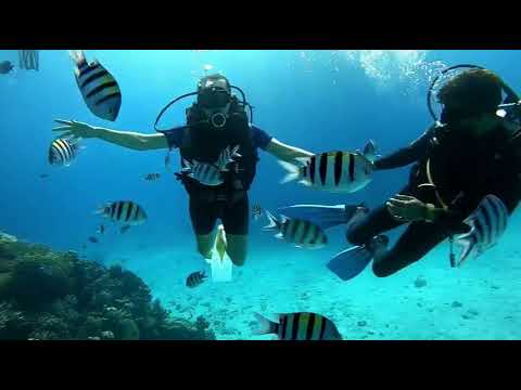 Amazing day with #Egypt sunmarine (Hurghada)