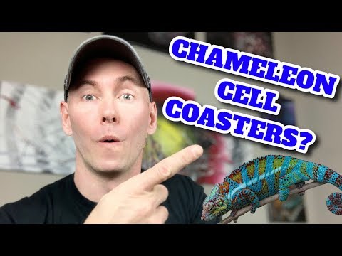 Chameleon Cell Coasters Acrylic Pour | Fluid Art with JMoPainting