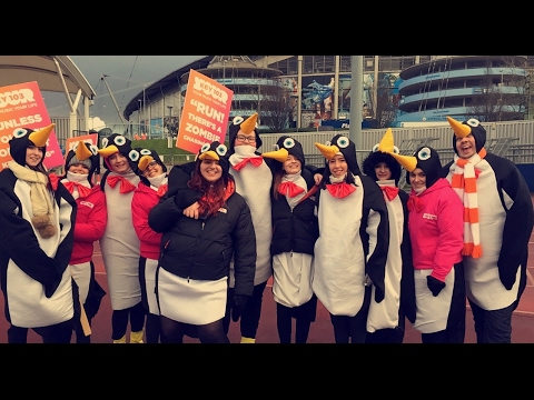Penguin Party!