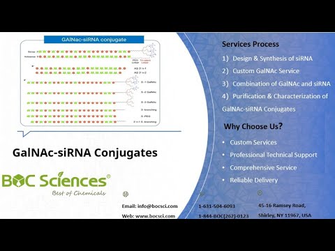 What are GalNAc-siRNA Conjugates?- siRNA Delivery