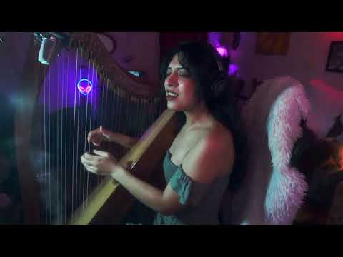 Eleanor Rigby & Yellow Submarine Medley Harp Cover (Twitch)