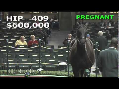 2014 November Breeding Stock Sale: Hip 409 - Silver Bullet Moon