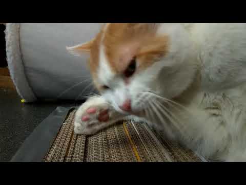 Extralong Slowmotion Special for you