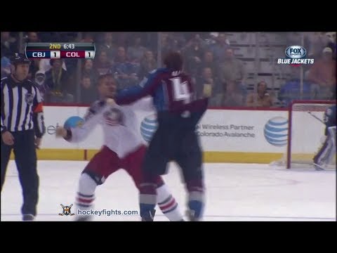 James Wisniewski vs Brad Malone Apr 15, 2013