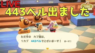 【あつ森】443ベル出ました。完全放置。自由に売ってよし。【AnimalCrossing】