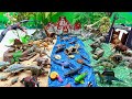 Jurassic Park Diorama For Dinosaurs | Small World Kids Craft Dinosaur gate. Fun Dino video