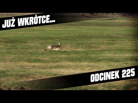 Darz Bór zapowiedź odcinka 225