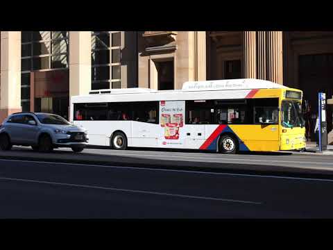 NL202 752 with SL202 ZF trans  controller