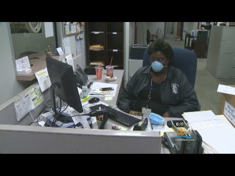 Broward County Court Clerk She Did What Unbelievable Misconduct Exposed