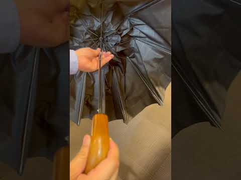 FOX Umbrellas TL-1(MA-POW-BR) 折畳傘の動作