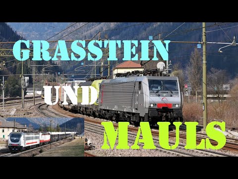 Grasstein und Mauls