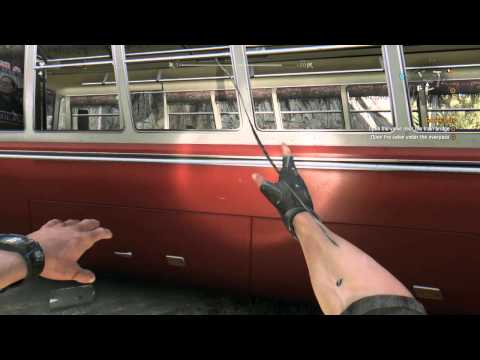 WTF Dying Light bugs