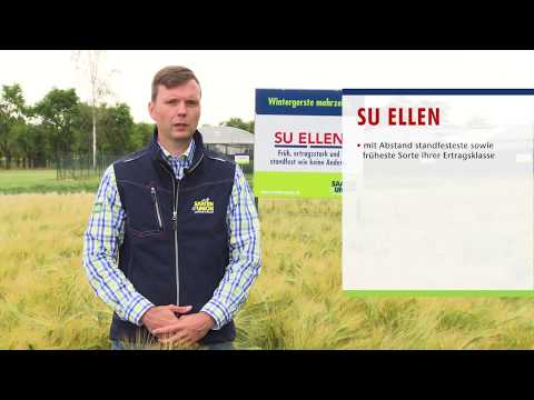 Saaten-Union: Winterfuttergerste ELLEN, Vertriebsberater Carsten Knobbe, Standort Böhnshausen