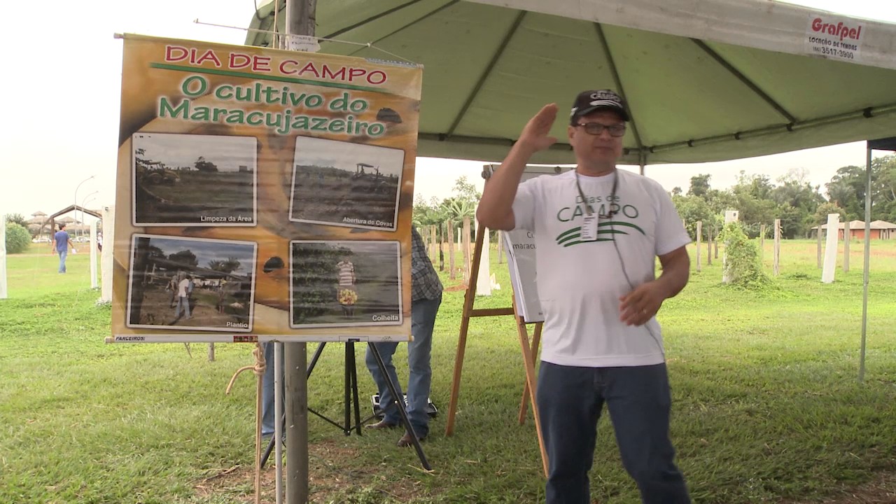 Cultivo de maracujazeiro amarelo - Valmir França e Suzinei Oliveira