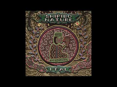 Spectra Sonics vs Ital - Onanya