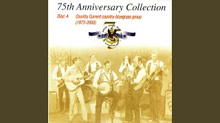 Boogie Woogie Fiddle Country Blues