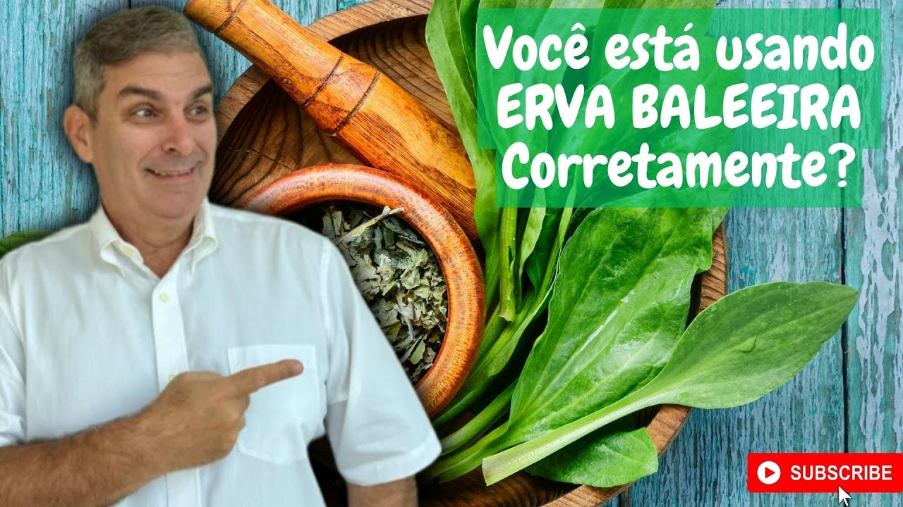 Erva Baleeira - Solução para vários Problemas de Saúde. Dr Prof Nelson Marques